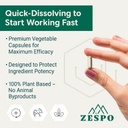zespo-brain-booster-1100mg-with-gaba-lio-61XSELC1YnL.jpg