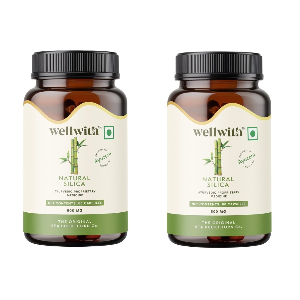 wellwith-ayuzera-natural-silica-500mg-60-719JMVs2S3L.jpg