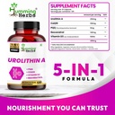 humming-herbs-urolithin-a-complex-250-mg-81O5ueb0UPL.jpg