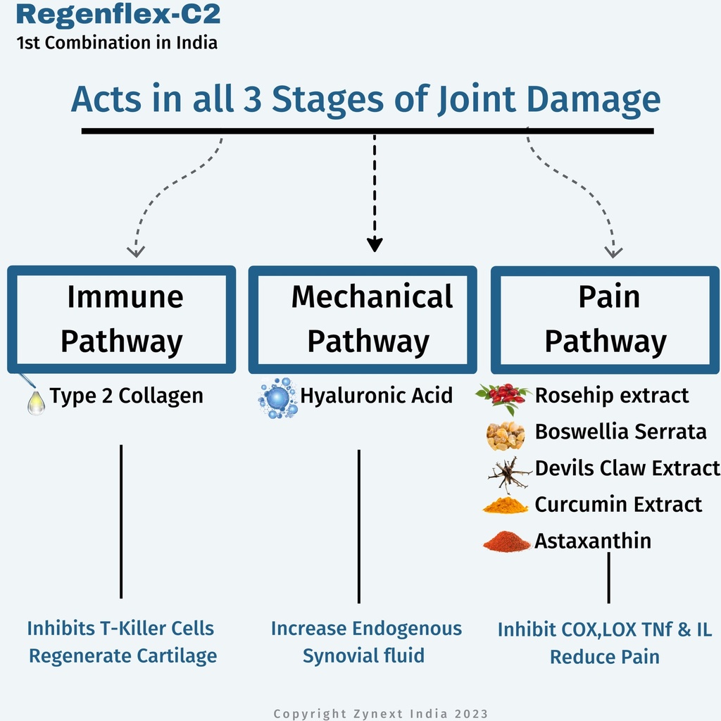 regenflex-c2-uc-ii-type-2-collagen-with--81AZydM1Y8L.jpg