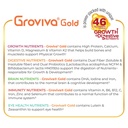 groviva-gold-milk-protein-powder-for-kid-81nqezXtutL.jpg