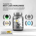 muscleblaze-biozyme-performance-whey-pro-71lCHwxKwBL.jpg