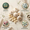 fresh-garlic-whole-bulb-natural-organic--61Q2lWjK1SL.jpg
