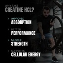 prosupps-creatine-hcl-unflavoured-powder-61iVzYDkREL.jpg
