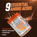 bigflex-eaa-9000-essential-amino-acids-o-71nd+beT93L.jpg