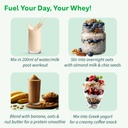 oziva-clean-whey-coffee-protein-powder-2-61RImAzXWsL.jpg
