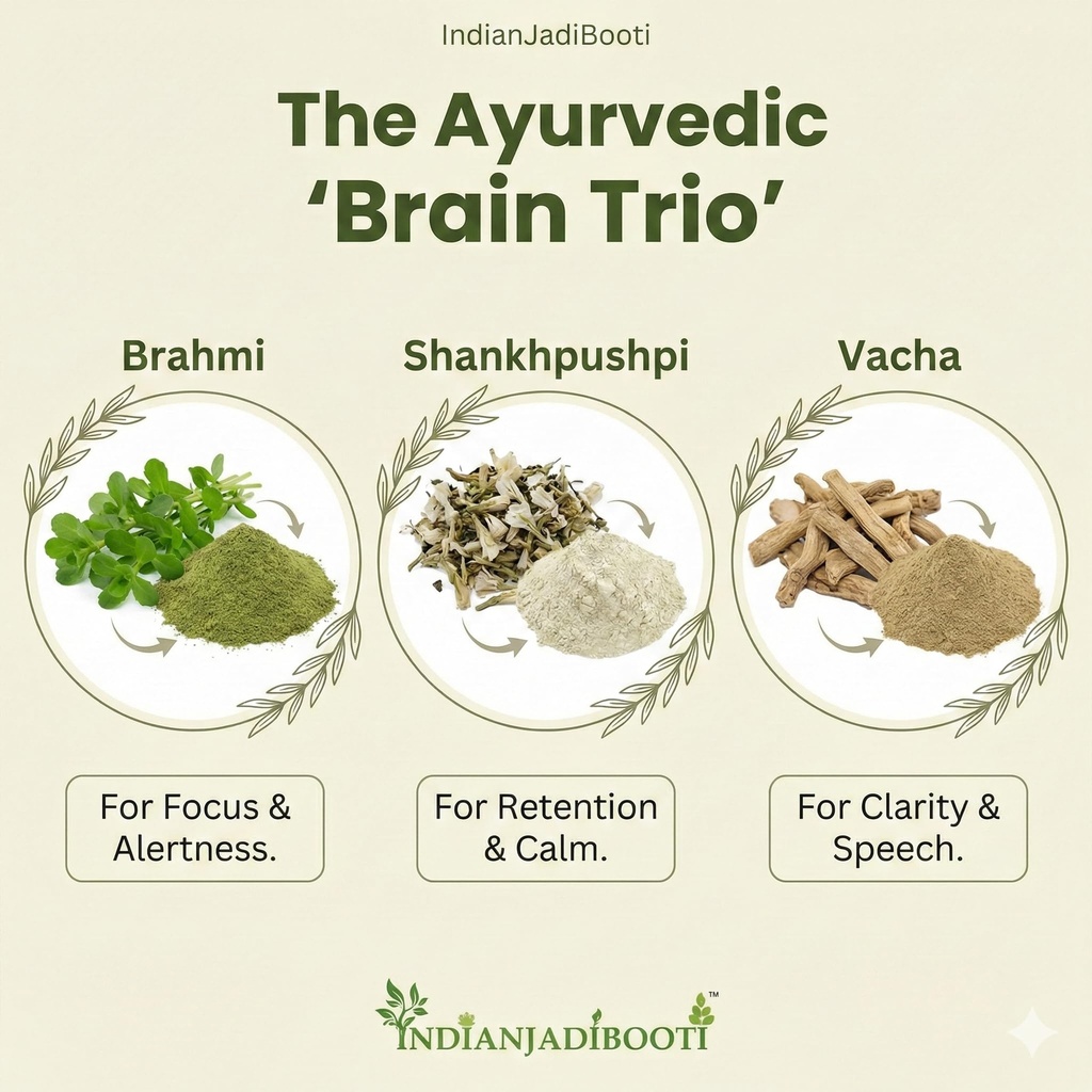 indianjadibooti-vacha-brahmi-shankhpushp-81okOXrpDLL.jpg
