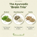 indianjadibooti-vacha-brahmi-shankhpushp-81okOXrpDLL.jpg