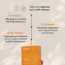 origins-nutra-gut-restore-l-glutamine-3--51Nn2UPTPFL.jpg