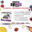 essential-aminos-hydration-vegan-bcaa-l--81lFyE4c5wL.jpg