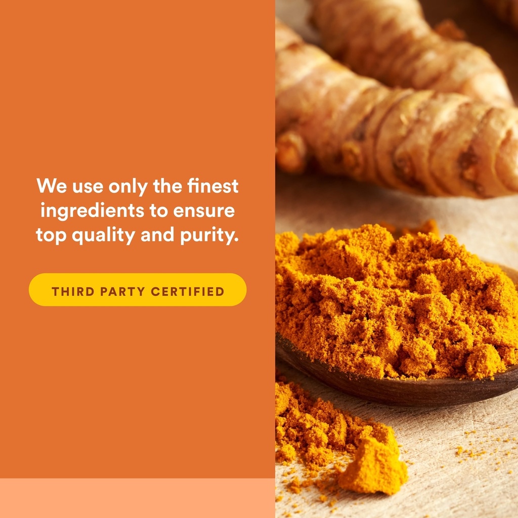 natural-factors-curcuminrich-curcumin-th-81b+SGX-L0L.jpg