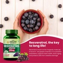 vlado-s-himalayan-organics-resveratrol-2-71om2gKC9UL.jpg