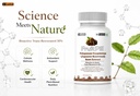 leewell-japanese-knotweed-root-extract-5-61WAbmgMHML.jpg