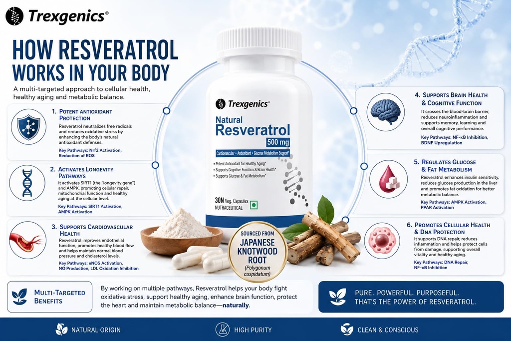 trexgenics-natural-resveratrol-500-mg-ca-71avuvfOGIL.jpg