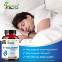 humming-herbs-l-theanine-with-ashwagandh-81janvqCGiL.jpg