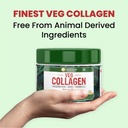 vlado-s-himalayan-organics-vegan-collage-71ndTIo5bRL.jpg