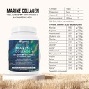 marine-collagen-powder-with-vitamin-c-hy-71MT83wbdWL.jpg