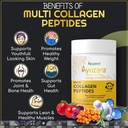 wellwith-by-ayuzera-multi-collagen-pepti-81FQotNOEfL.jpg