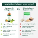 vansaar-45-collagen-juice-500-ml-3-colla-61fO3g71ygL.jpg