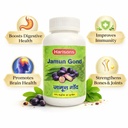 jamun-gond-natural-jamun-resin-for-diges-61MqrRfPTpL.jpg