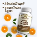 windmill-vit-c-tabs-250-mg-wmill-100-pac-4.jpg