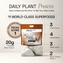ace-blend-daily-20g-plant-protein-30-ser-61jm40+D43L.jpg