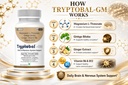 gm-leewell-chewable-magnesium-l-threonat-71nTeRLK16L.jpg