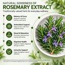 rosemary-extract-capsules-veg-capsules-h-71qvDnTVtYL.jpg