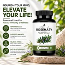 rosemary-extract-capsules-veg-capsules-h-71oRY6fM86L.jpg