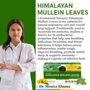 teacurry-himalayan-mullein-tea-50-grams--71YAdreBHdL.jpg