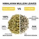 teacurry-himalayan-mullein-tea-50-grams--71EH3QqV1EL.jpg