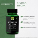 ginkgo-biloba-lung-detox-wellness-daily--617d5b7IeaL.jpg