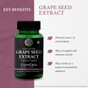 advanced-hsn-hair-skin-nails-grape-seed--61reQ13cZLL.jpg