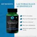 lactobacillus-moringa-oleifera-powder-we-61rYKUD9ffL.jpg