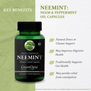 flax-seed-oil-neemint-wellness-daily-vit-61sgukM5bQL.jpg
