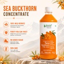 bhumija-lifesciences-himalayan-sea-buckt-715VxNjwkeL.jpg