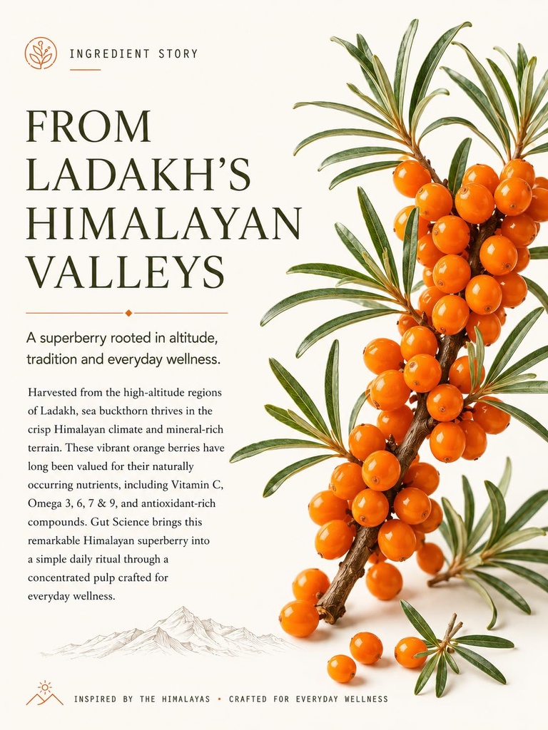 himalayan-sea-buckthorn-pulp-300ml-seabu-718TMUHhLFL.jpg