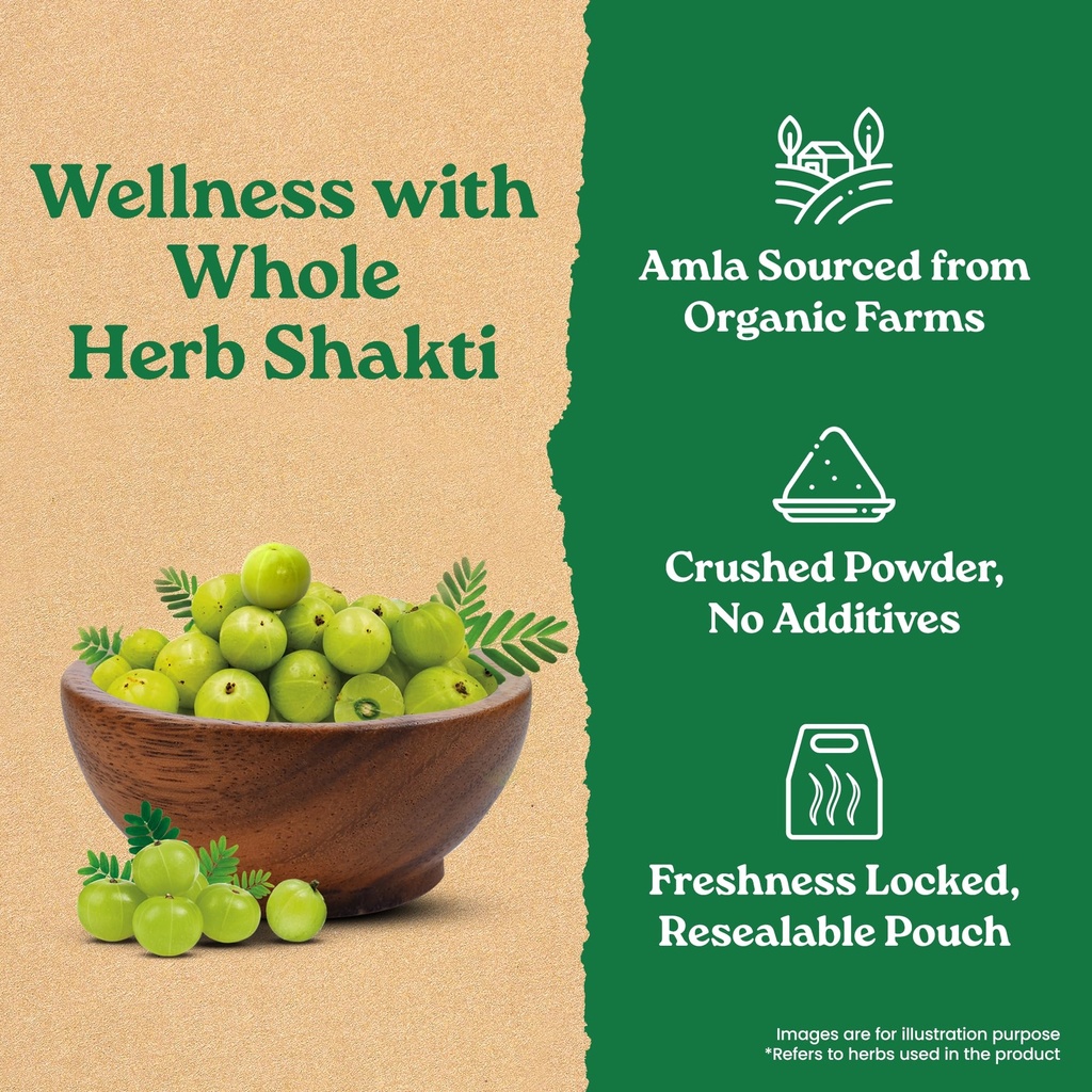 a-tata-product-organic-india-amla-powder-91T-0gsToUL.jpg
