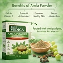 amla-powder-for-hair-growth-200gm-ideal--61SPWnYnLUL.jpg