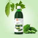 krishna-s-karela-juice-500-ml-fresh-kare-81XMpHLh9PL.jpg