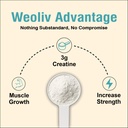 micronized-creatine-monohydrate-powder-2-613ry5wt3KL.jpg