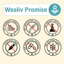 micronized-creatine-monohydrate-powder-2-71MRlkivQ+L.jpg