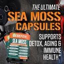 bebefen-2-packs-15050mg-sea-moss-capsule-6.jpg