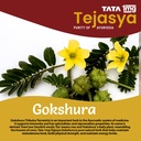 tata-1mg-tejasya-gokshura-capsule-helps--617gpBCxQwL.jpg