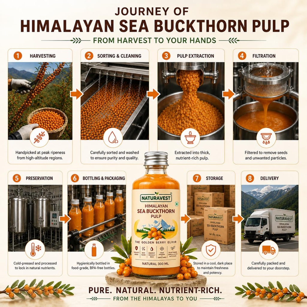 naturavest-himalayan-sea-buckthorn-pulp--81ogsKKb8zL.jpg