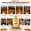 naturavest-himalayan-sea-buckthorn-pulp--81ogsKKb8zL.jpg