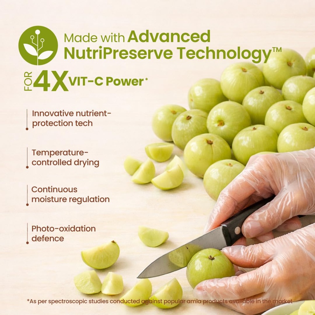 nat-habit-100-pure-amla-powder-125g-phyl-61C0YkuI1AL.jpg