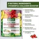 himalayan-organics-plant-based-collagen--71rOjLlBXML.jpg