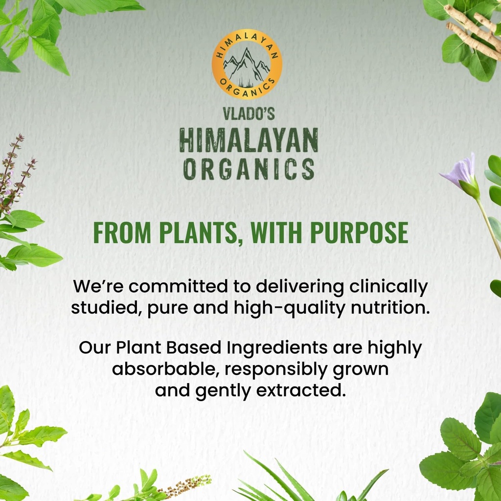 vlado-s-himalayan-organics-garlic-500mg--71TJI5IEB9L.jpg
