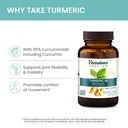 himalaya-organic-turmeric-curcumin-60-ca-81AAyGqA5iL.jpg